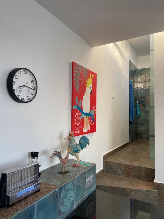 פוארטו דה לה קרוז Villa Oasis La Paz - Acaymo Loft - Adults Only - מראה חיצוני תמונה