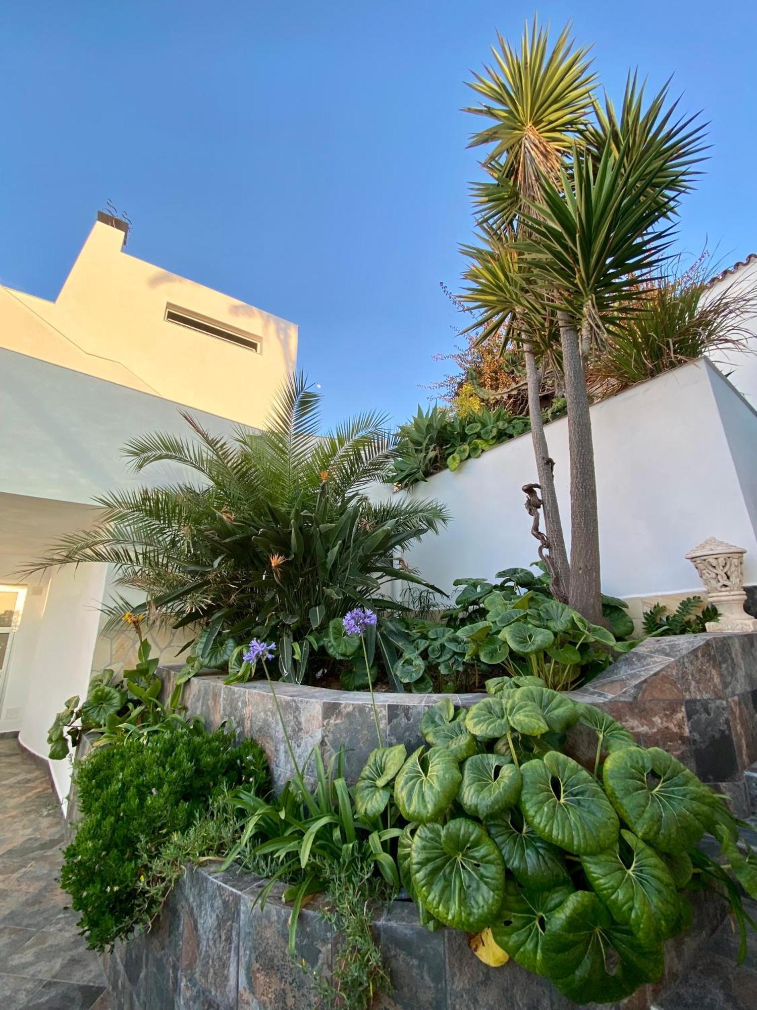 פוארטו דה לה קרוז Villa Oasis La Paz - Acaymo Loft - Adults Only - מראה חיצוני תמונה